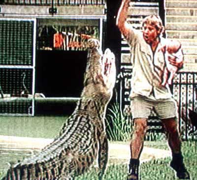 Steve%20Irwin.jpg