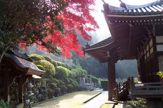 Kyoto%20-%20Paraiso.jpg