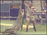 _39697245_newirwincroc.jpg